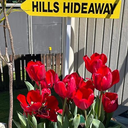 Hill'S Hideaway Hotell Dargaville Eksteriør bilde